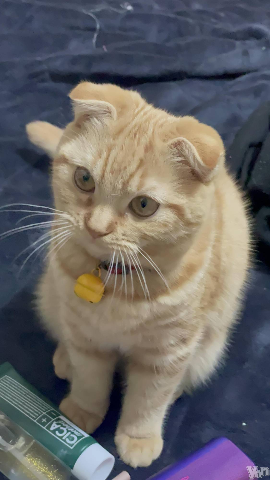 ���ܥ���Х��顦�����CLUB HEARTS(����֥ϡ���) ��2023ǯ1��23���̥�֥����֤����