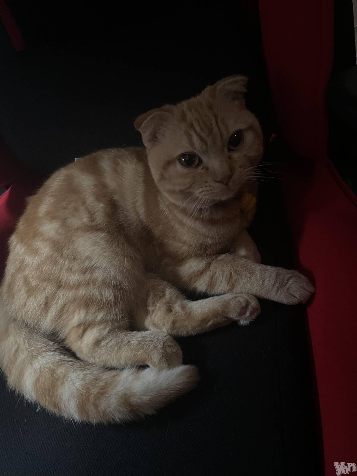 ���ܥ���Х��顦�����CLUB HEARTS(����֥ϡ���) ��2023ǯ1��24���̥�֥�����💺��