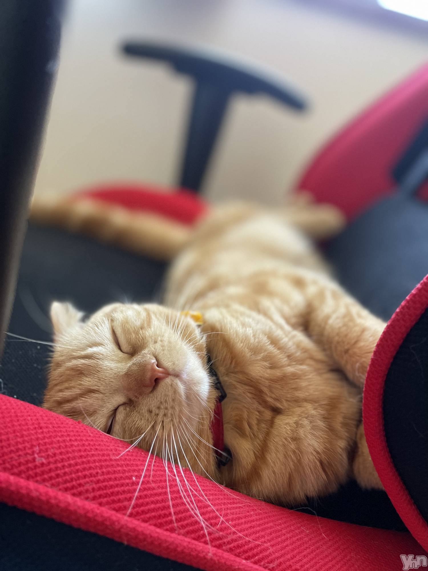 ���ܥ���Х��顦�����CLUB HEARTS(����֥ϡ���) ��2023ǯ2��21���̥�֥����֤ͤ��