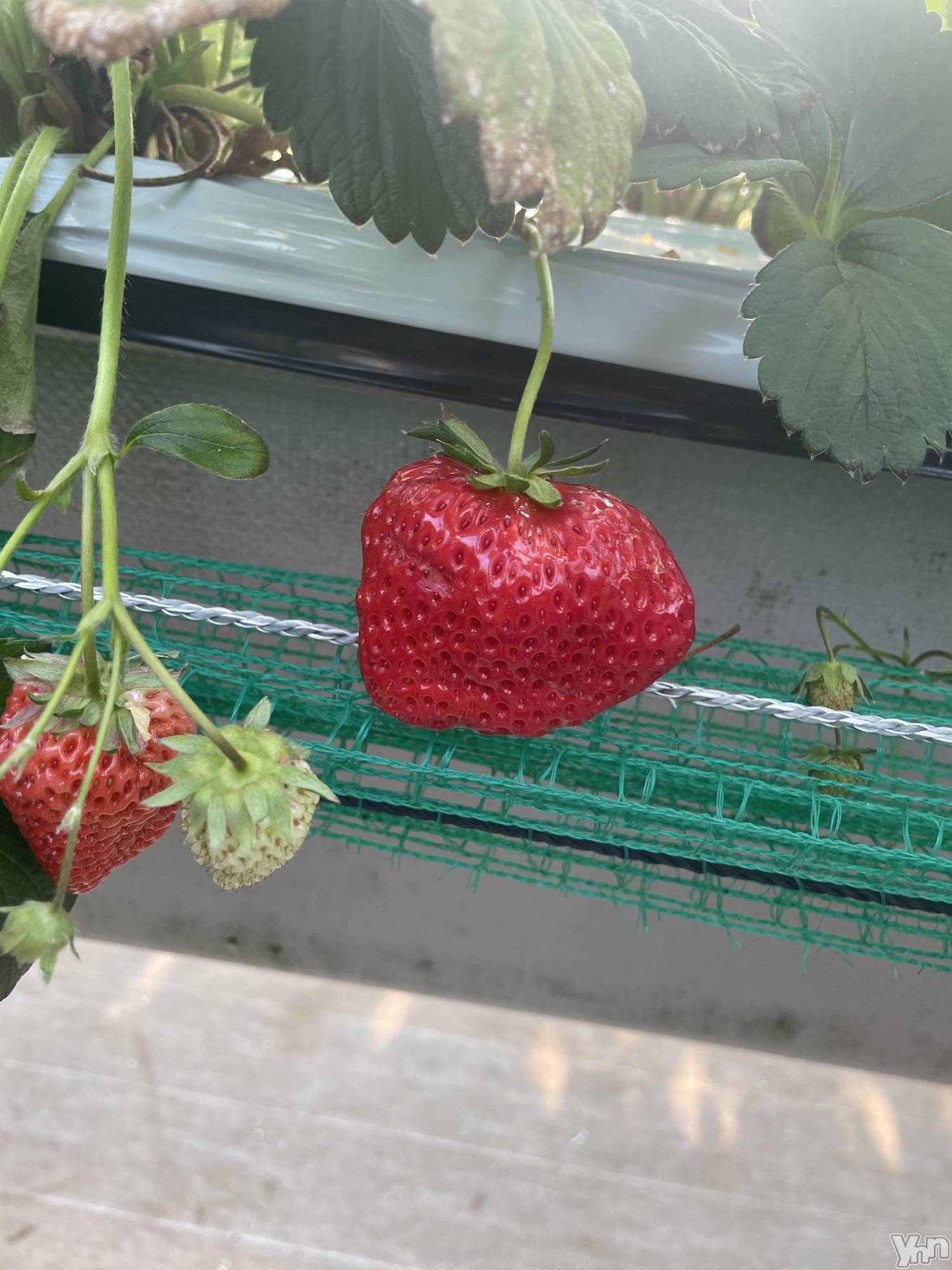 ���ܥ���Х��顦�����CLUB HEARTS(����֥ϡ���) ��2023ǯ4��3���̥�֥�����🍓��