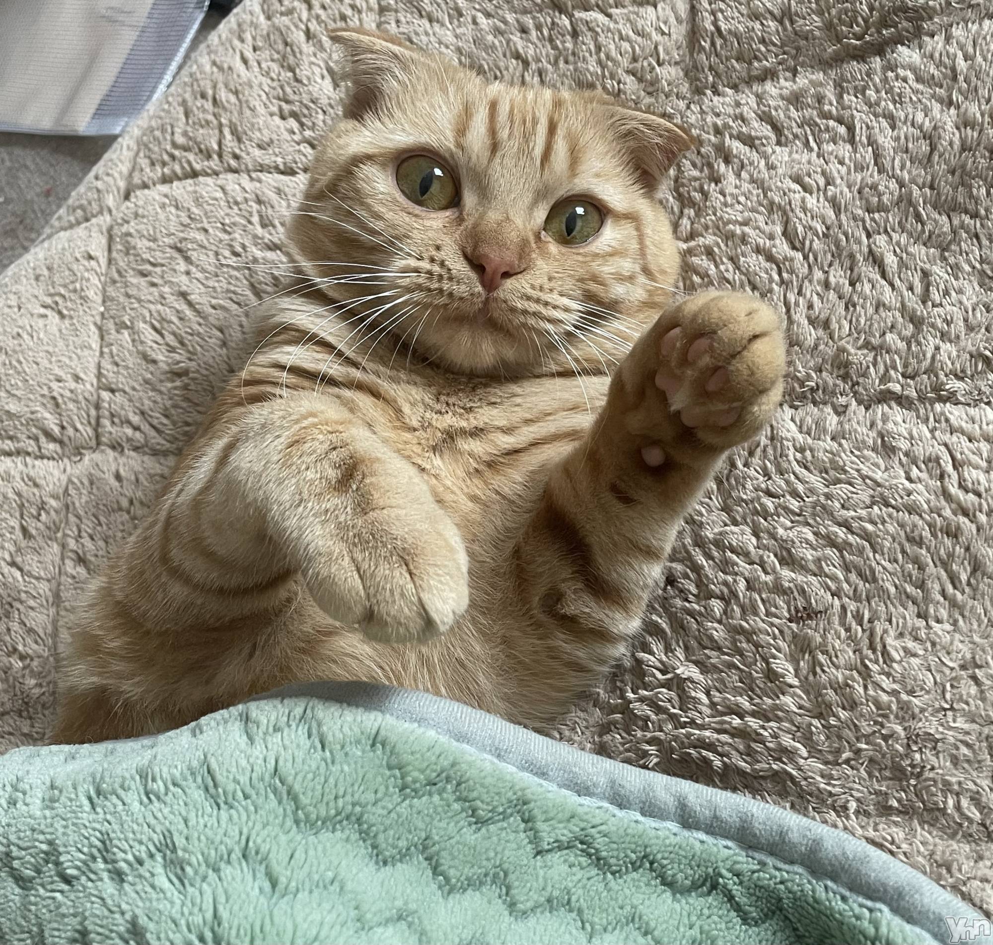 ���ܥ���Х��顦�����CLUB HEARTS(����֥ϡ���) ��2023ǯ5��26���̥�֥�����🐈⸒⸒⸒⸒��