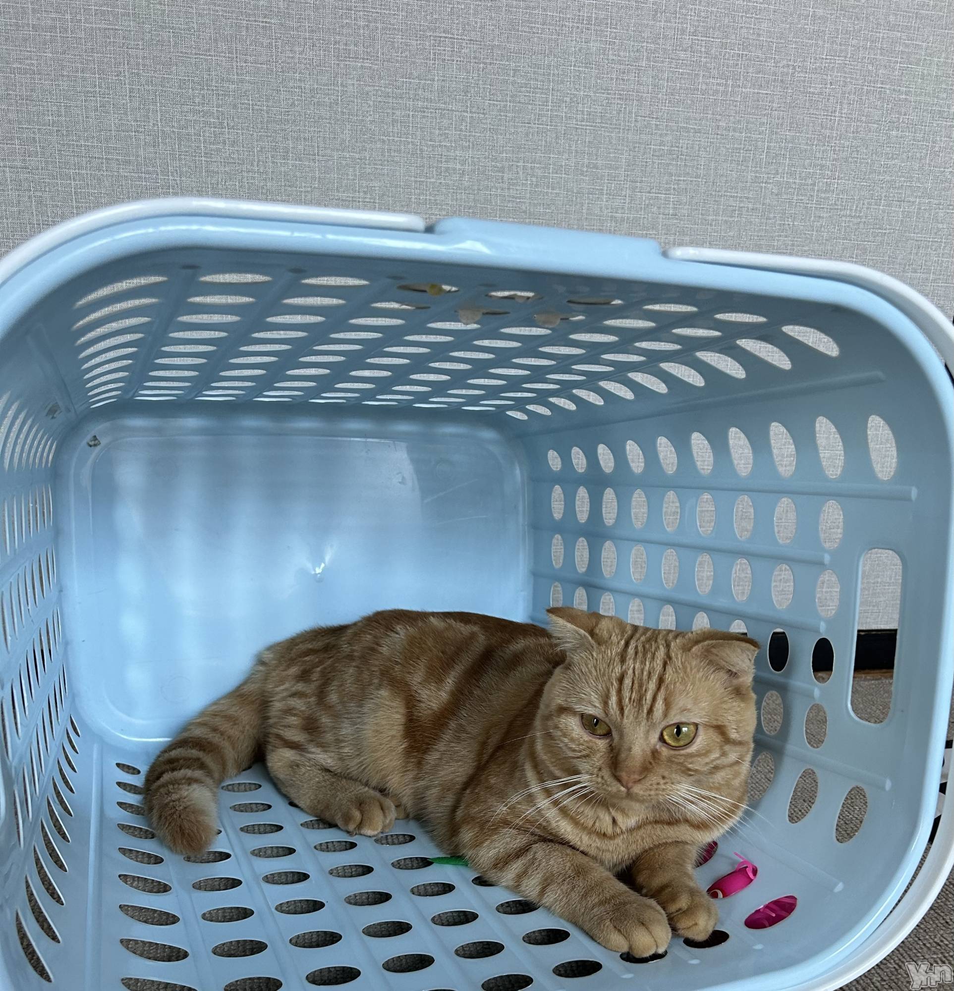 ���ܥ���Х��顦�����CLUB HEARTS(����֥ϡ���) ��2023ǯ7��25���̥�֥�����🧺��