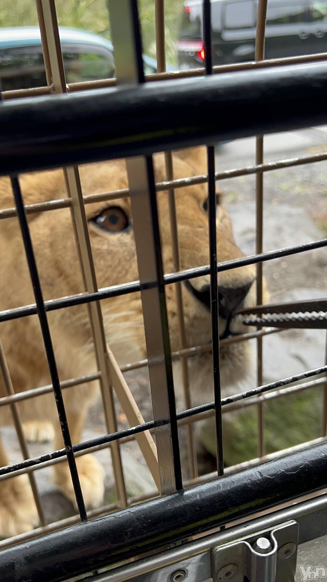 ���ܥ���Х��顦�����CLUB HEARTS(����֥ϡ���) ��2023ǯ10��8���̥�֥�����🦁��