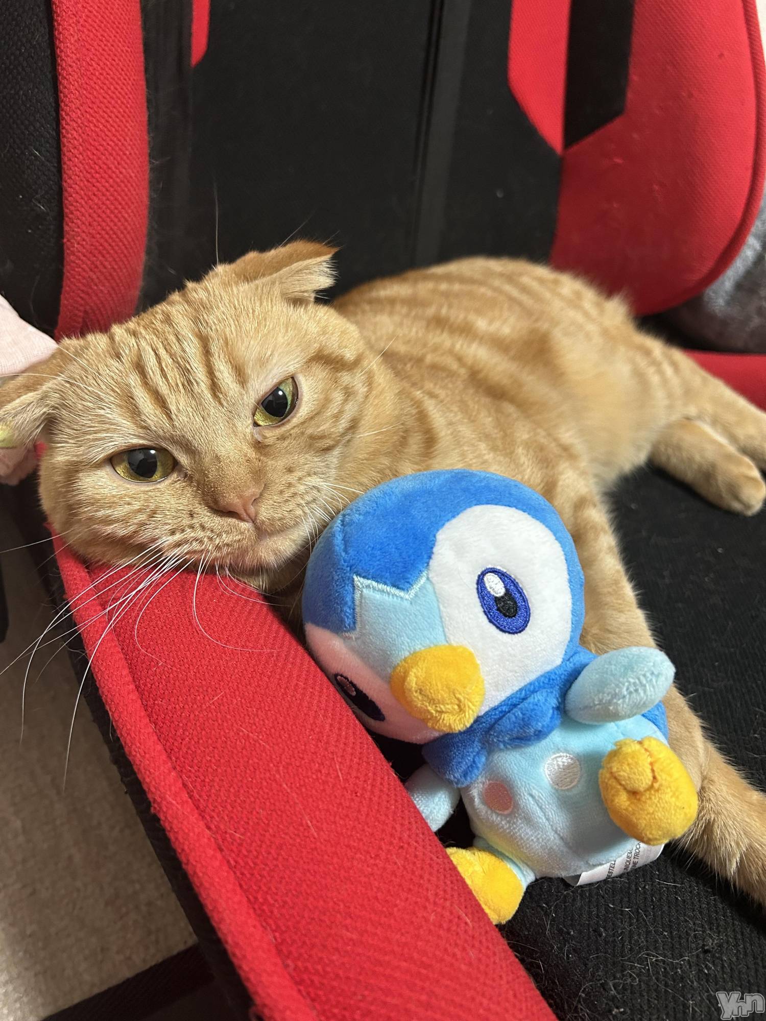 ���ܥ���Х��顦�����CLUB HEARTS(����֥ϡ���) ��2023ǯ10��17���̥�֥����֤ݤä���ޤͤ���