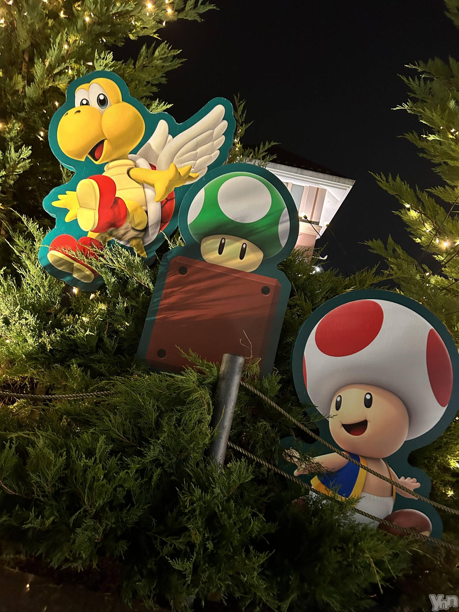 ���ܥ���Х��顦�����CLUB HEARTS(����֥ϡ���) ��2024ǯ1��5���̥�֥�����🍄��