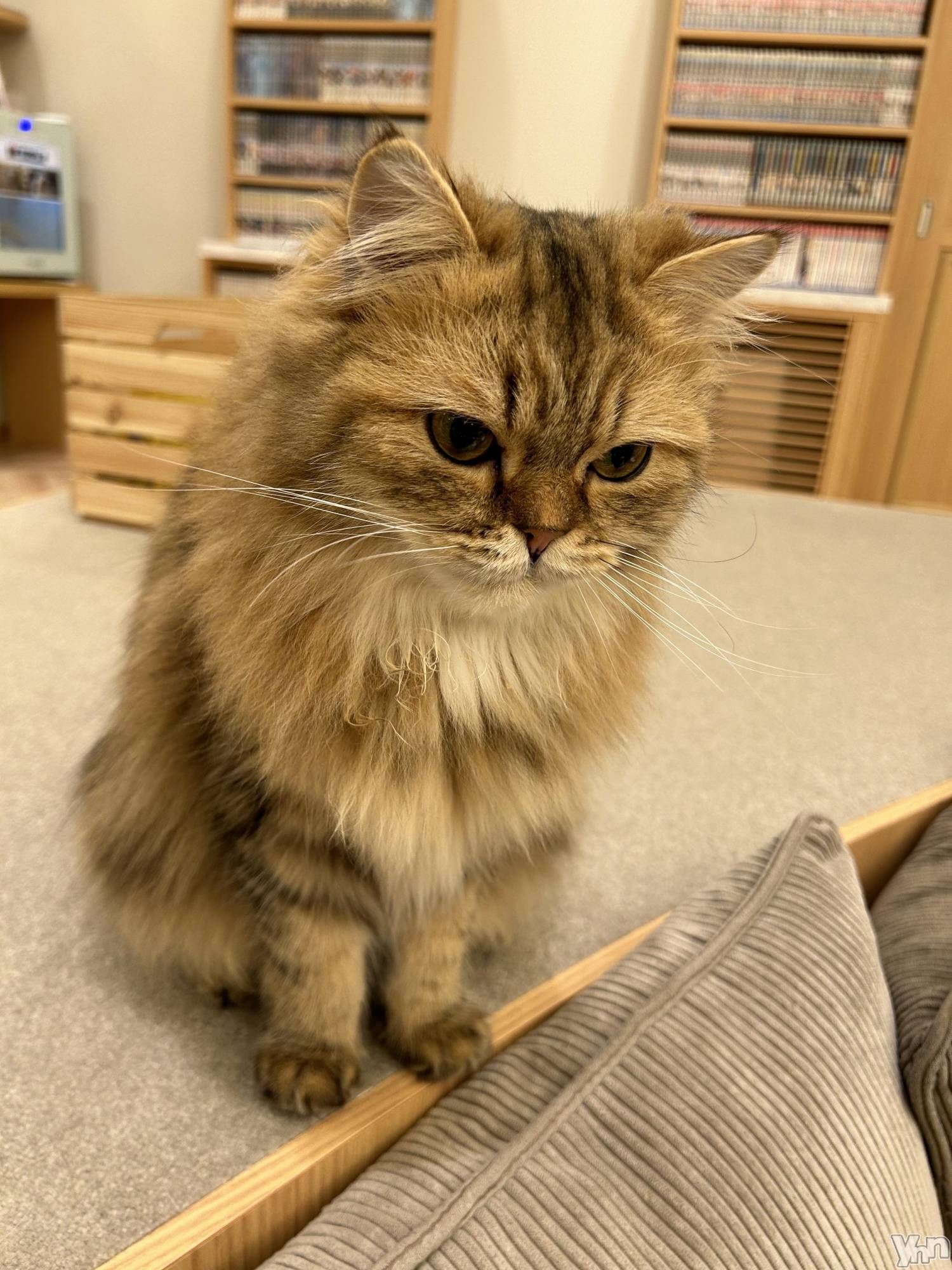 ���ܥ���Х��顦�����CLUB HEARTS(����֥ϡ���) ��2024ǯ3��10���̥�֥����֤���ͤ���