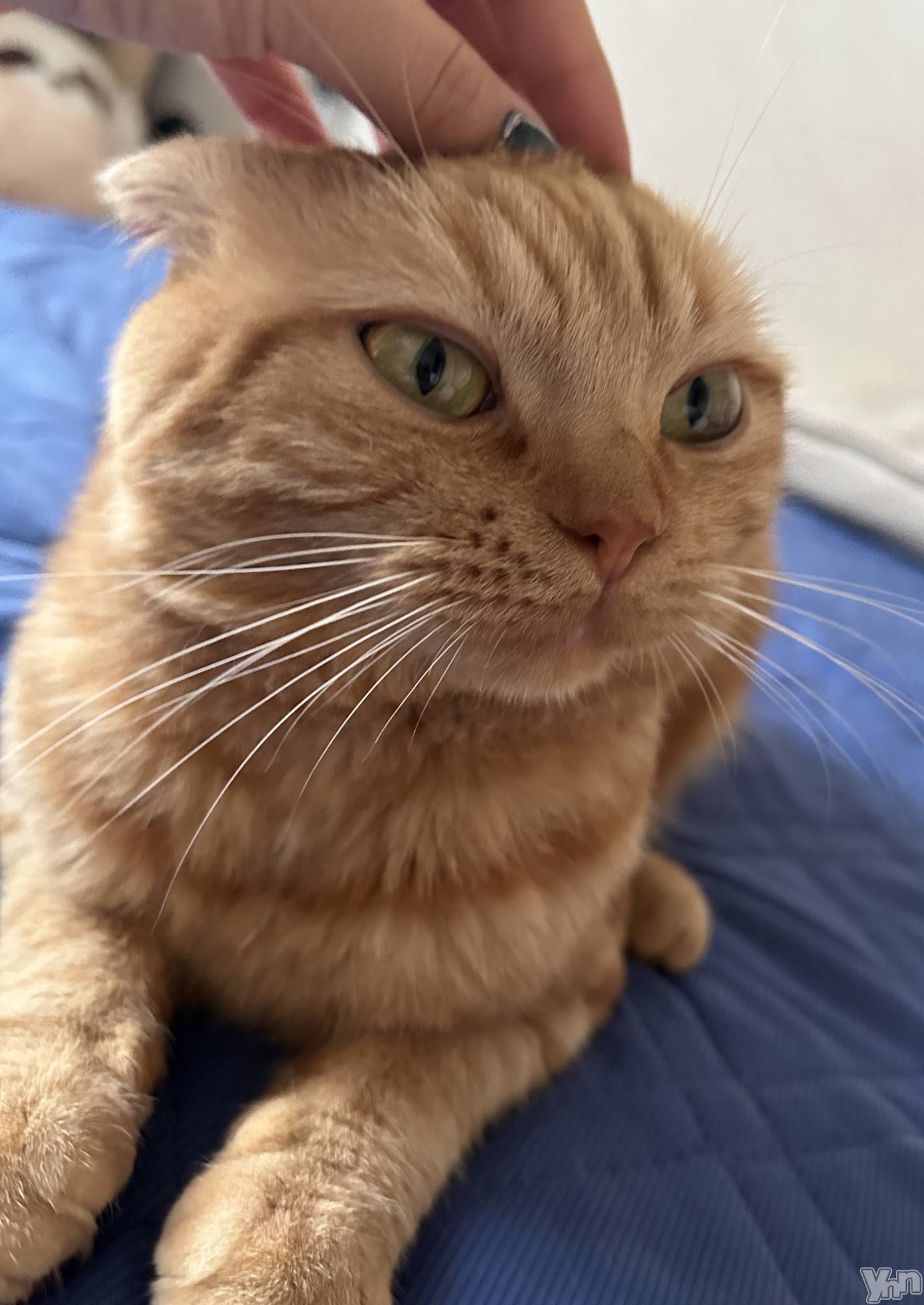 ���ܥ���Х��顦�����CLUB HEARTS(����֥ϡ���) ��2024ǯ7��1���̥�֥�����🐈🩷🩷��