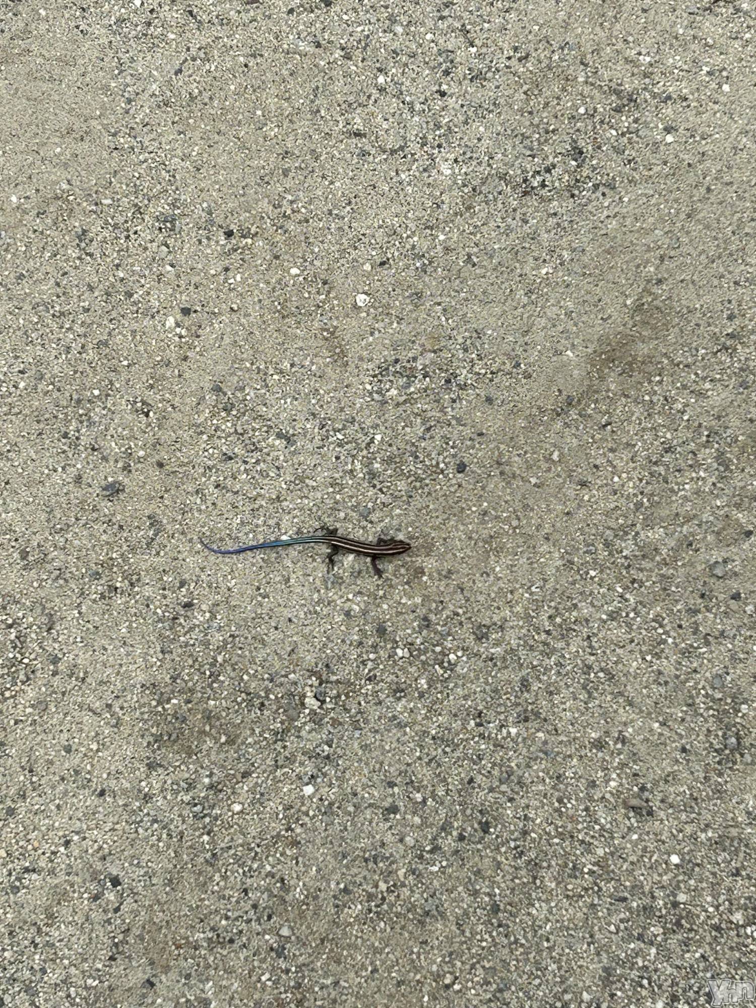 ���ܥ���Х��顦�����CLUB HEARTS(����֥ϡ���) ��2024ǯ7��10���̥�֥����֤ߤĤ�����