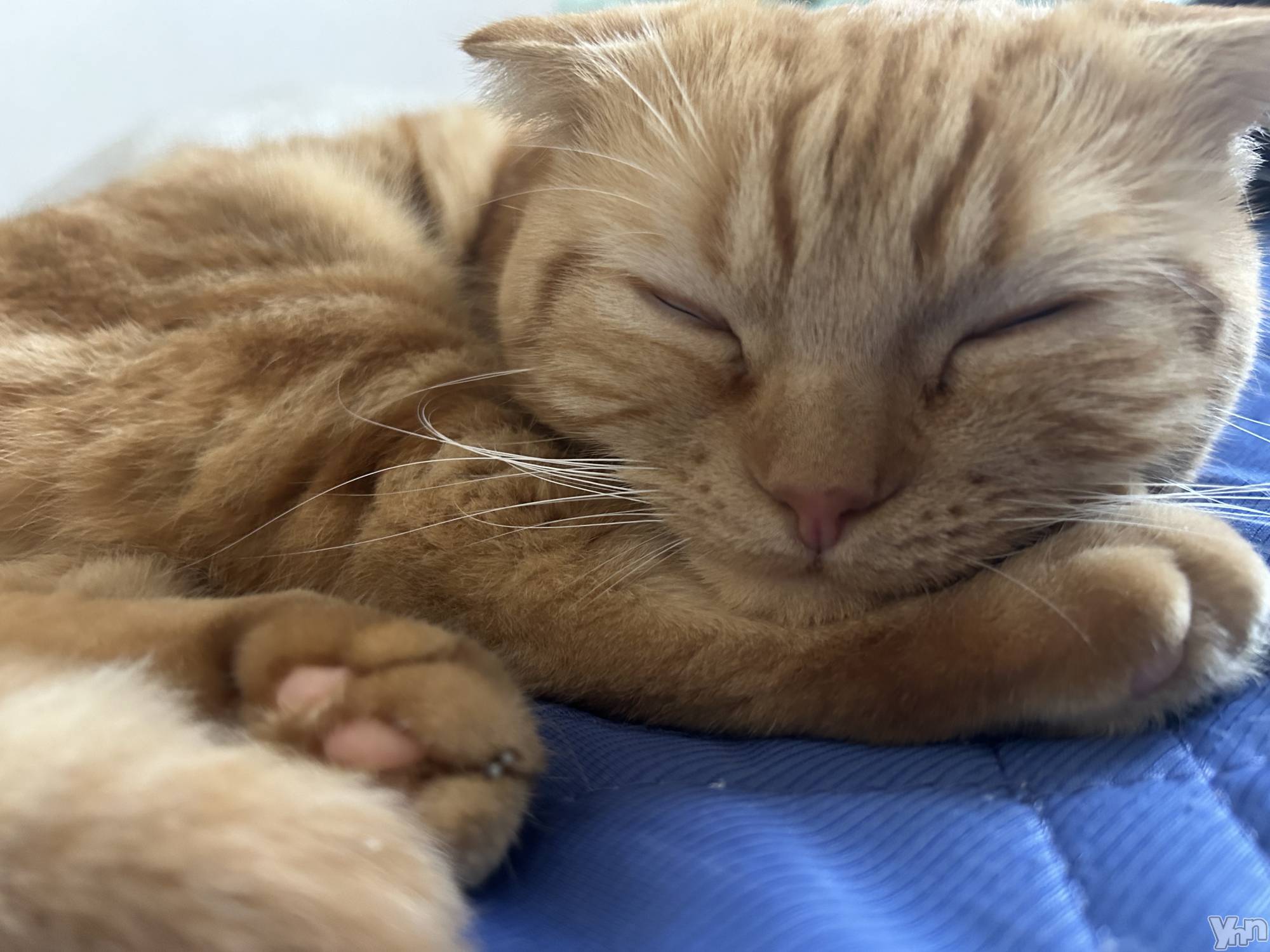 ���ܥ���Х��顦�����CLUB HEARTS(����֥ϡ���) ��2024ǯ10��4���̥�֥����֤��礦��