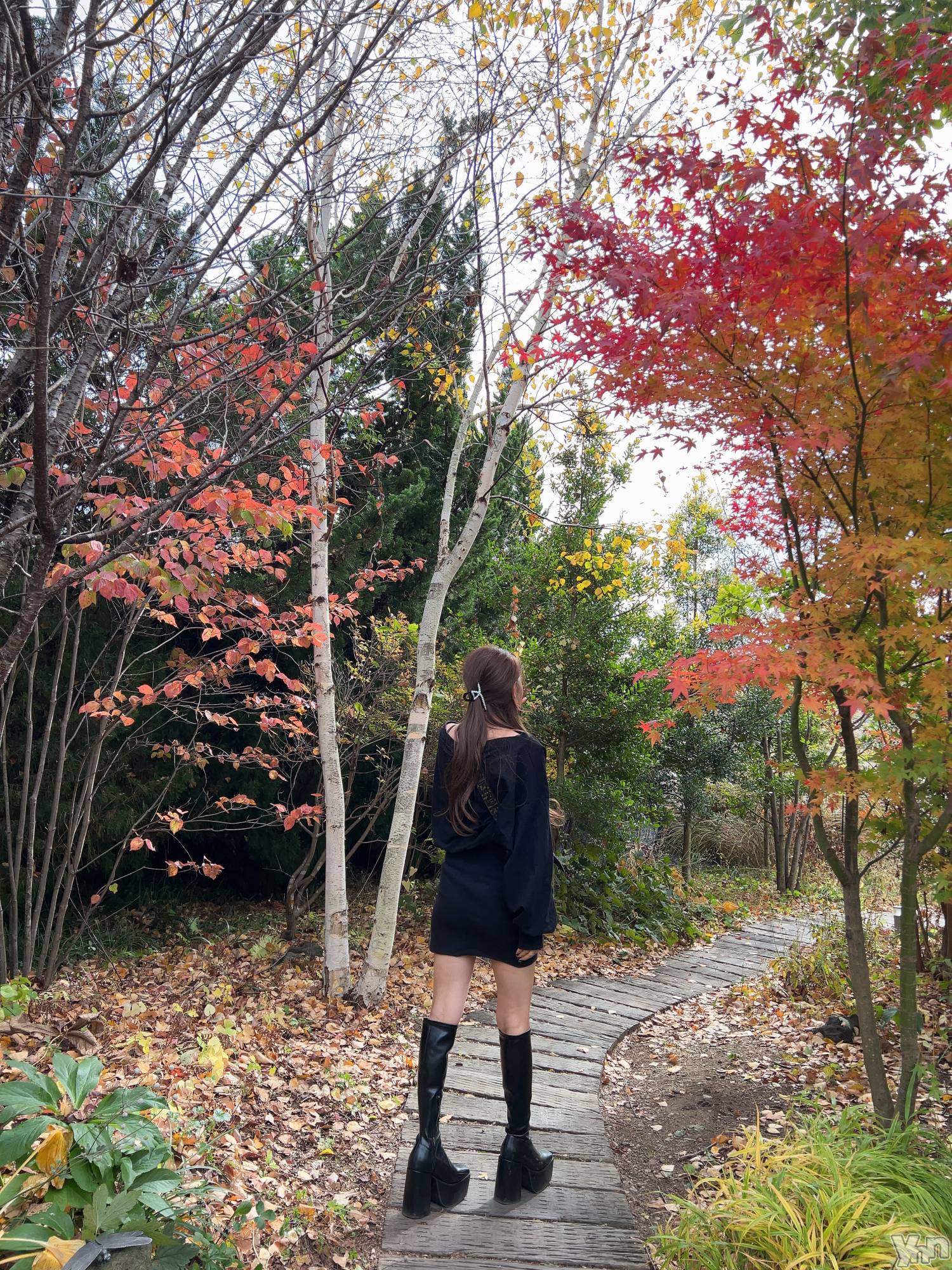 ���ܥ���Х��顦�����CLUB HEARTS(����֥ϡ���) ��2024ǯ11��10���̥�֥�����1ǯ����