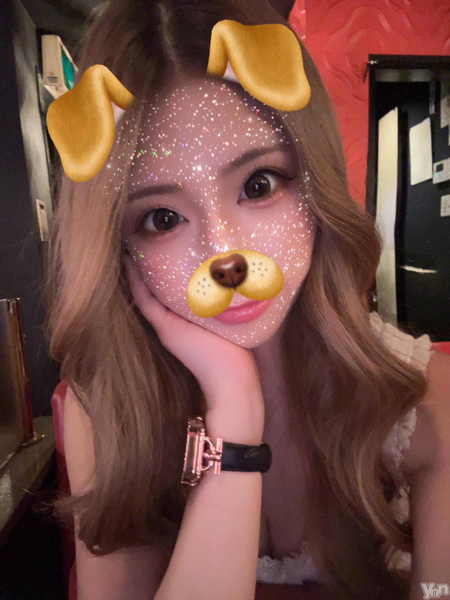 ���ܥ���Х��顦�����CLUB HEARTS(����֥ϡ���) ��2025ǯ2��5���̥�֥�����🐶💛��