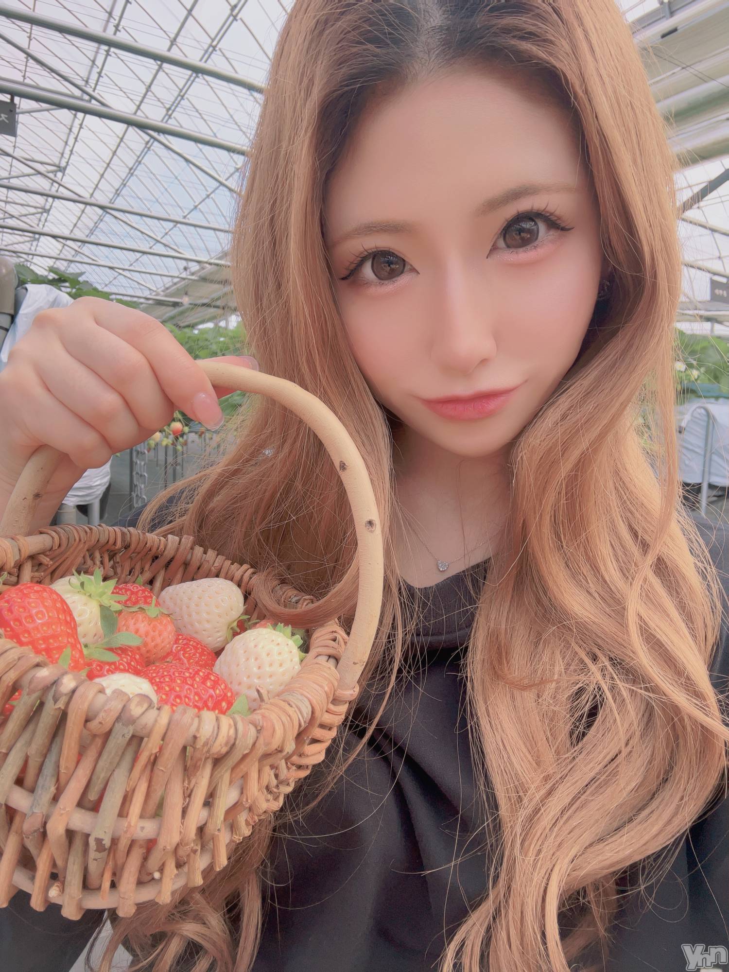 ���ܥ���Х��顦�����CLUB HEARTS(����֥ϡ���) ��2025ǯ4��5���̥�֥����֤�������