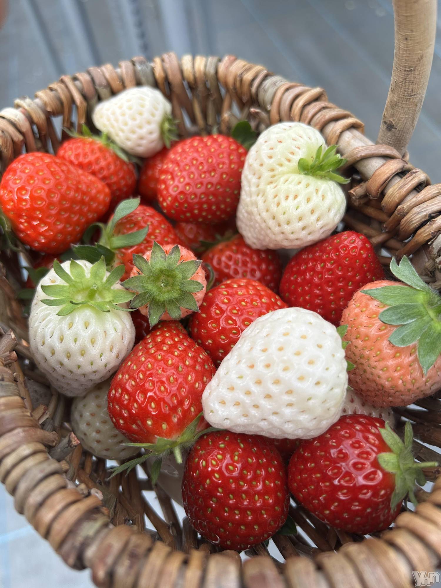 ���ܥ���Х��顦�����CLUB HEARTS(����֥ϡ���) ��2025ǯ6��29���̥�֥�����🥱🥱🥱��