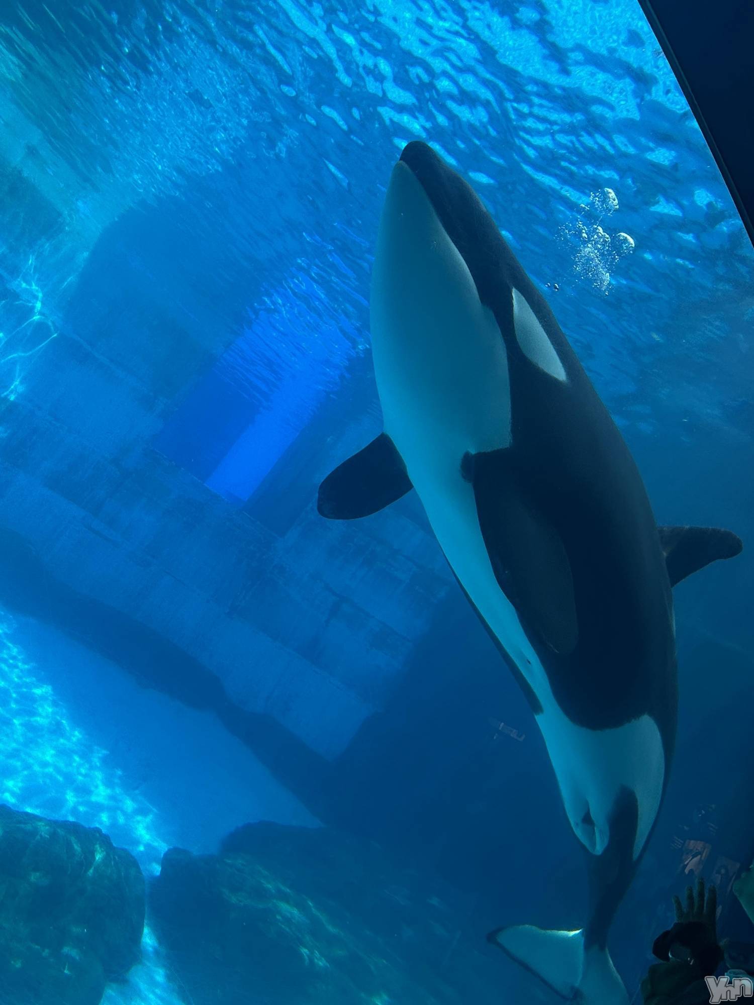 ���ܥ���Х��顦�����CLUB HEARTS(����֥ϡ���) ��2025ǯ8��24���̥�֥�����̾�Ų�����²�ۡ�