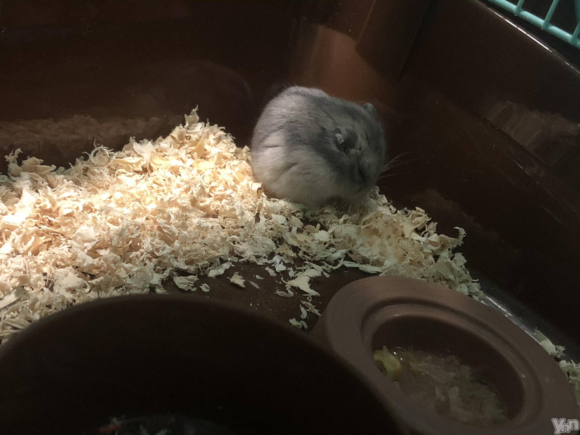 ���ܥ���Х��顦�����CLUB HEARTS(����֥ϡ���) ��2019ǯ12��9���̥�֥����֡��Ϥ�Ϥ��