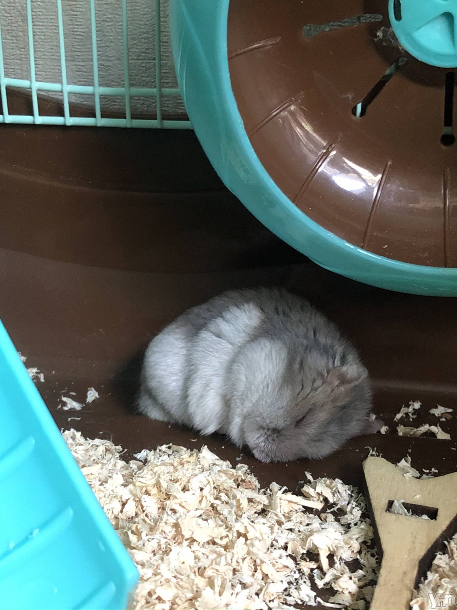 ���ܥ���Х��顦�����CLUB HEARTS(����֥ϡ���) ��2021ǯ6��20���̥�֥����֤ڤäȤ��