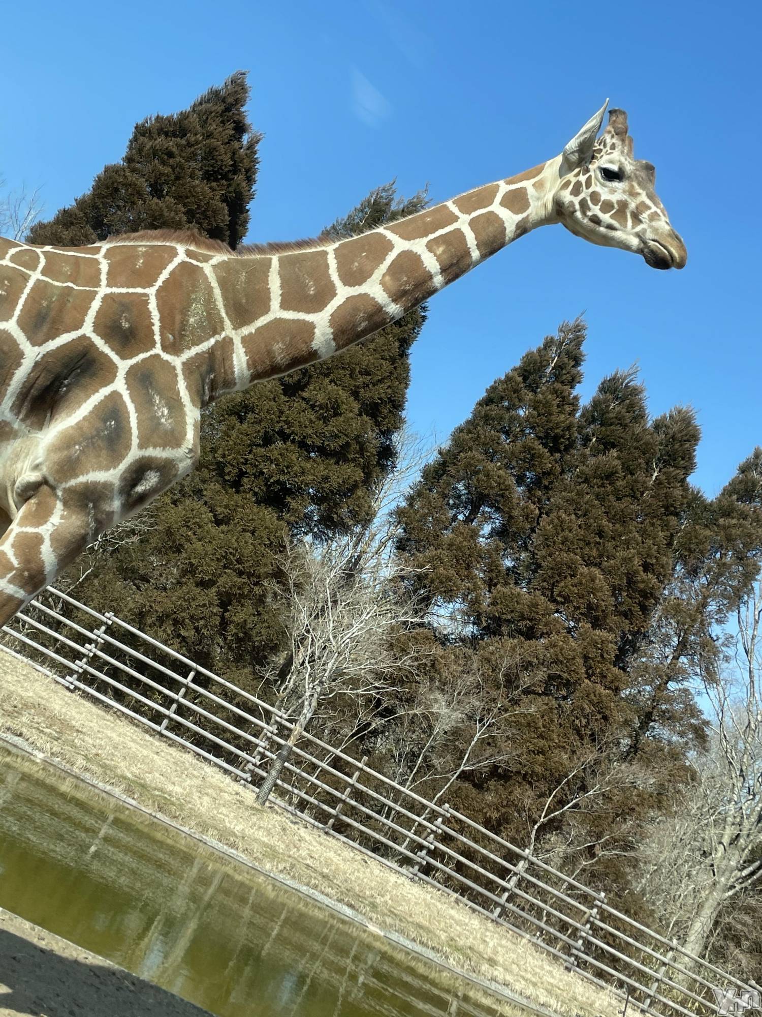 ���ܥ���Х��顦�����CLUB HEARTS(����֥ϡ���) ��2022ǯ3��12���̥�֥����֥��ե���🦒��