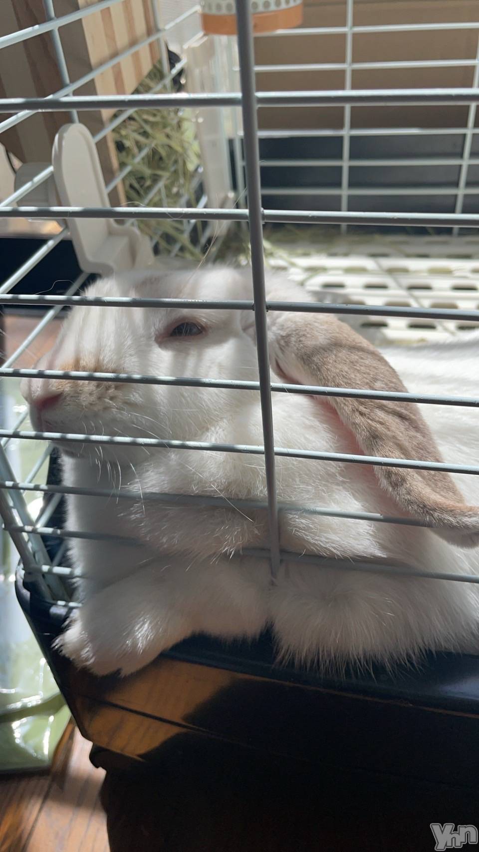 ���ܥ���Х��顦�����CLUB HEARTS(����֥ϡ���) ��2022ǯ4��13���̥�֥����֤��Τ���