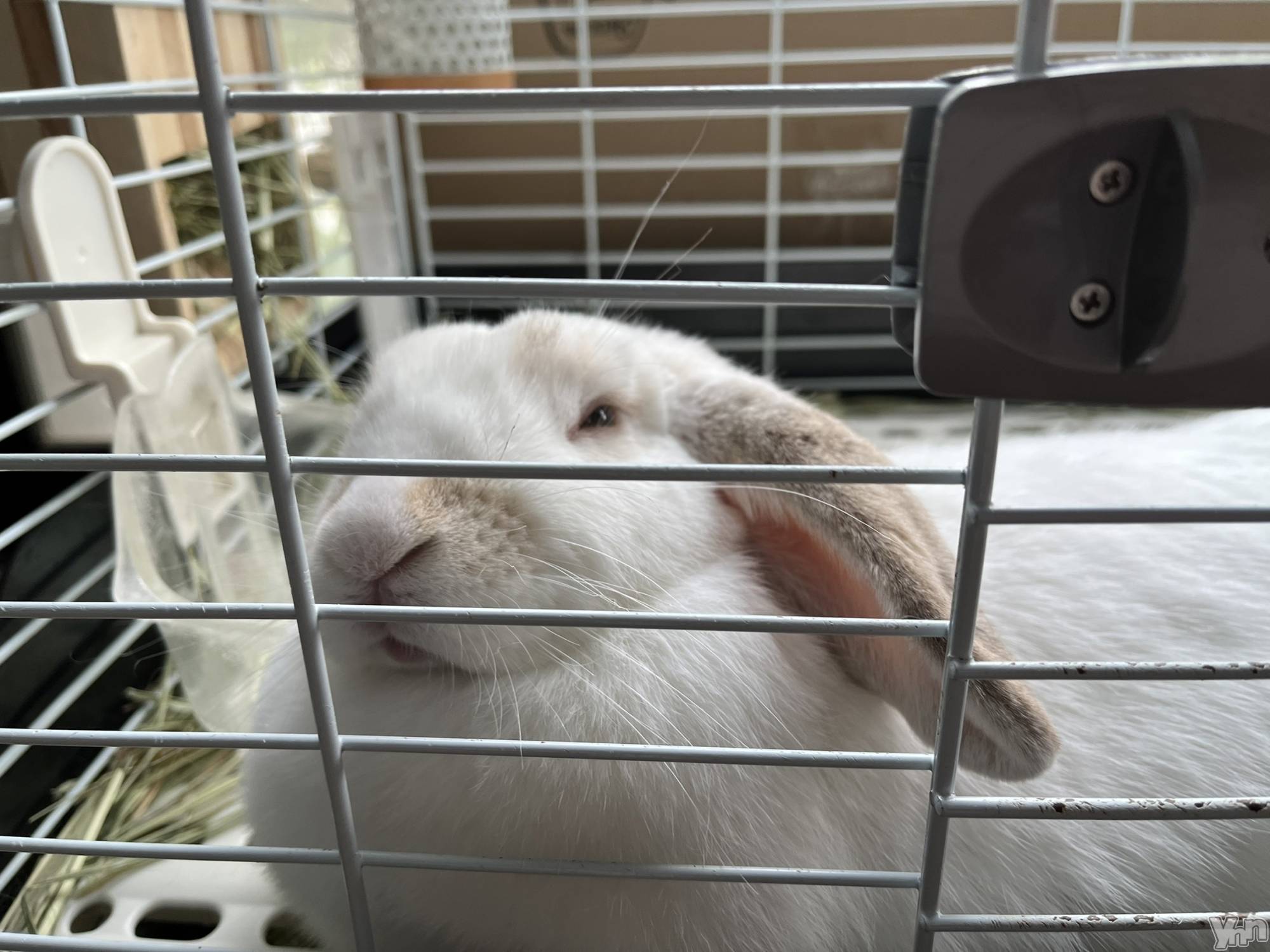 ���ܥ���Х��顦�����CLUB HEARTS(����֥ϡ���) ��2022ǯ5��5���̥�֥�����🤣🤣��