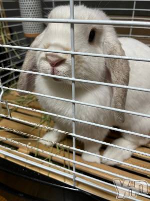 ���ܥ���Х��顦�����CLUB HEARTS(����֥ϡ���) ������(27)��7��23���̥�֥�����₍ ᐢ. ̫ .ᐢ ₎‪‪❤︎‬��