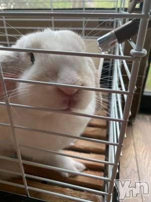 ���ܥ���Х��顦�����CLUB HEARTS(����֥ϡ���) ������(27)��8��12���̥�֥�����(�á���`c)��