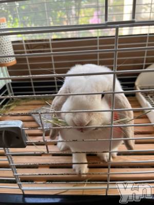 ���ܥ���Х��顦�����CLUB HEARTS(����֥ϡ���) ������(27)��9��13���̥�֥�����(ᐢ..ᐢ)🌼��