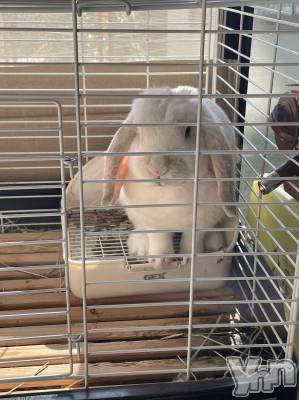 ���ܥ���Х��顦�����CLUB HEARTS(����֥ϡ���) ������(27)��11��13���̥�֥�����🐰��