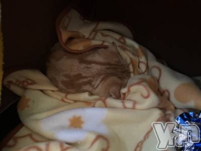 ���ܥ���Х��顦�����CLUB HEARTS(����֥ϡ���) ������(27)��12��10���̥�֥�����( ���꒳��� )ᐝ��