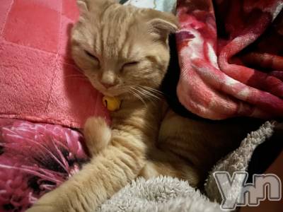 ���ܥ���Х��顦�����CLUB HEARTS(����֥ϡ���) ������(27)��12��18���̥�֥�����🙁🙁��