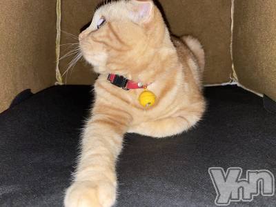 ���ܥ���Х��顦�����CLUB HEARTS(����֥ϡ���) ������(27)��1��1���̥�֥����֤פ��á�