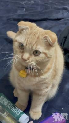 ���ܥ���Х��顦�����CLUB HEARTS(����֥ϡ���) ������(27)��1��23���̥�֥����֤����