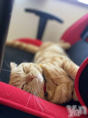 ���ܥ���Х��顦�����CLUB HEARTS(����֥ϡ���) ������(27)��2��21���̥�֥����֤ͤ��