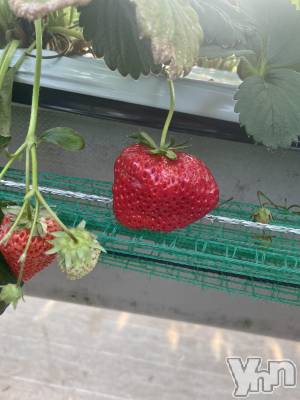 ���ܥ���Х��顦�����CLUB HEARTS(����֥ϡ���) ������(27)��4��3���̥�֥�����🍓��