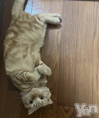 ���ܥ���Х��顦�����CLUB HEARTS(����֥ϡ���) ������(27)��6��6���̥�֥����֤��ǡ����