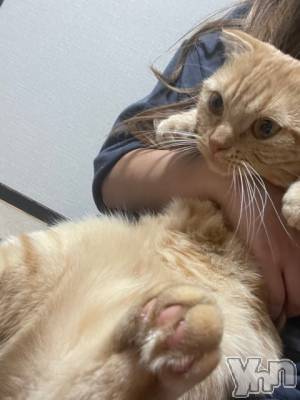 ���ܥ���Х��顦�����CLUB HEARTS(����֥ϡ���) ������(27)��6��8���̥�֥����֤̤�❤️��