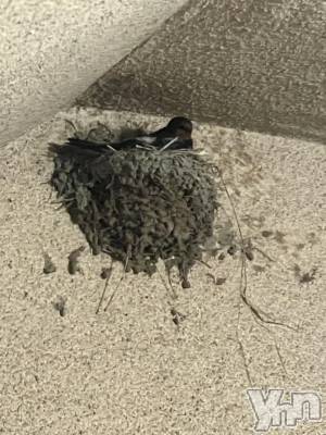 ���ܥ���Х��顦�����CLUB HEARTS(����֥ϡ���) ������(27)��6��25���̥�֥����֤Ԥä�🪽��