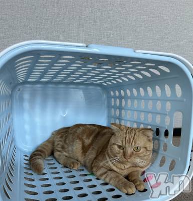 ���ܥ���Х��顦�����CLUB HEARTS(����֥ϡ���) ������(27)��7��25���̥�֥�����🧺��