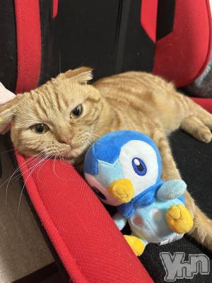 ���ܥ���Х��顦�����CLUB HEARTS(����֥ϡ���) ������(27)��10��17���̥�֥����֤ݤä���ޤͤ���