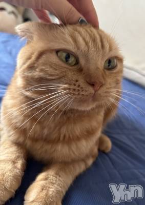 ���ܥ���Х��顦�����CLUB HEARTS(����֥ϡ���) ������(27)��7��1���̥�֥�����🐈🩷🩷��