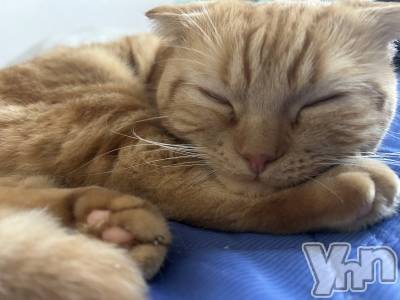 ���ܥ���Х��顦�����CLUB HEARTS(����֥ϡ���) ������(27)��10��4���̥�֥����֤��礦��