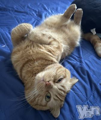 ���ܥ���Х��顦�����CLUB HEARTS(����֥ϡ���) ������(27)��11��18���̥�֥����֤䤹�ߤ�ߤ��