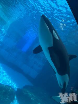 ���ܥ���Х��顦�����CLUB HEARTS(����֥ϡ���) ������(27)��8��24���̥�֥�����̾�Ų�����²�ۡ�