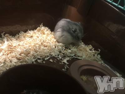 ���ܥ���Х��顦�����CLUB HEARTS(����֥ϡ���) ������(27)��12��9���̥�֥����֡��Ϥ�Ϥ��