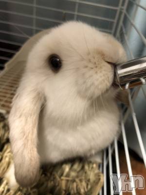 ���ܥ���Х��顦�����CLUB HEARTS(����֥ϡ���) ������(27)��5��3���̥�֥����֤����Ԥ��‪(/* ��ߡ� *)‬��