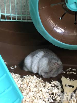 ���ܥ���Х��顦�����CLUB HEARTS(����֥ϡ���) ������(27)��6��20���̥�֥����֤ڤäȤ��