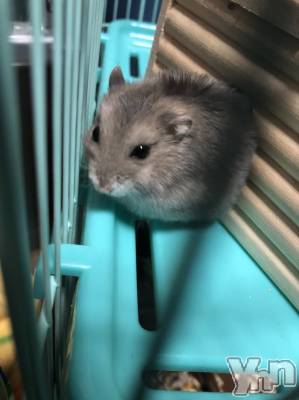 ���ܥ���Х��顦�����CLUB HEARTS(����֥ϡ���) ������(27)��11��26���̥�֥����֤��꤬�Ȥ���