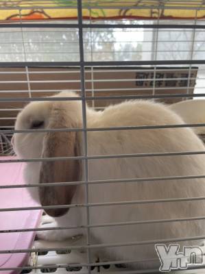 ���ܥ���Х��顦�����CLUB HEARTS(����֥ϡ���) ������(27)��2��13���̥�֥����֤�դ�ա�