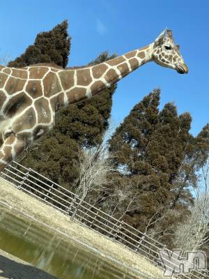 ���ܥ���Х��顦�����CLUB HEARTS(����֥ϡ���) ������(27)��3��12���̥�֥����֥��ե���🦒��