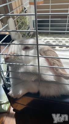 ���ܥ���Х��顦�����CLUB HEARTS(����֥ϡ���) ������(27)��4��13���̥�֥����֤��Τ���