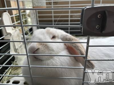 ���ܥ���Х��顦�����CLUB HEARTS(����֥ϡ���) ������(27)��5��5���̥�֥�����🤣🤣��